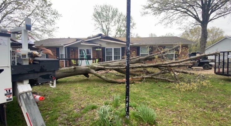 A large tree lays in front of Daisy Stamper’s home after being lifted off of the roof.